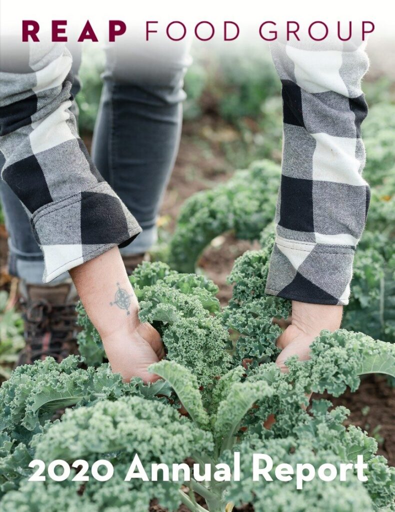 REAP Food Group 2020 Annual Report with image of hands harvesting kale.