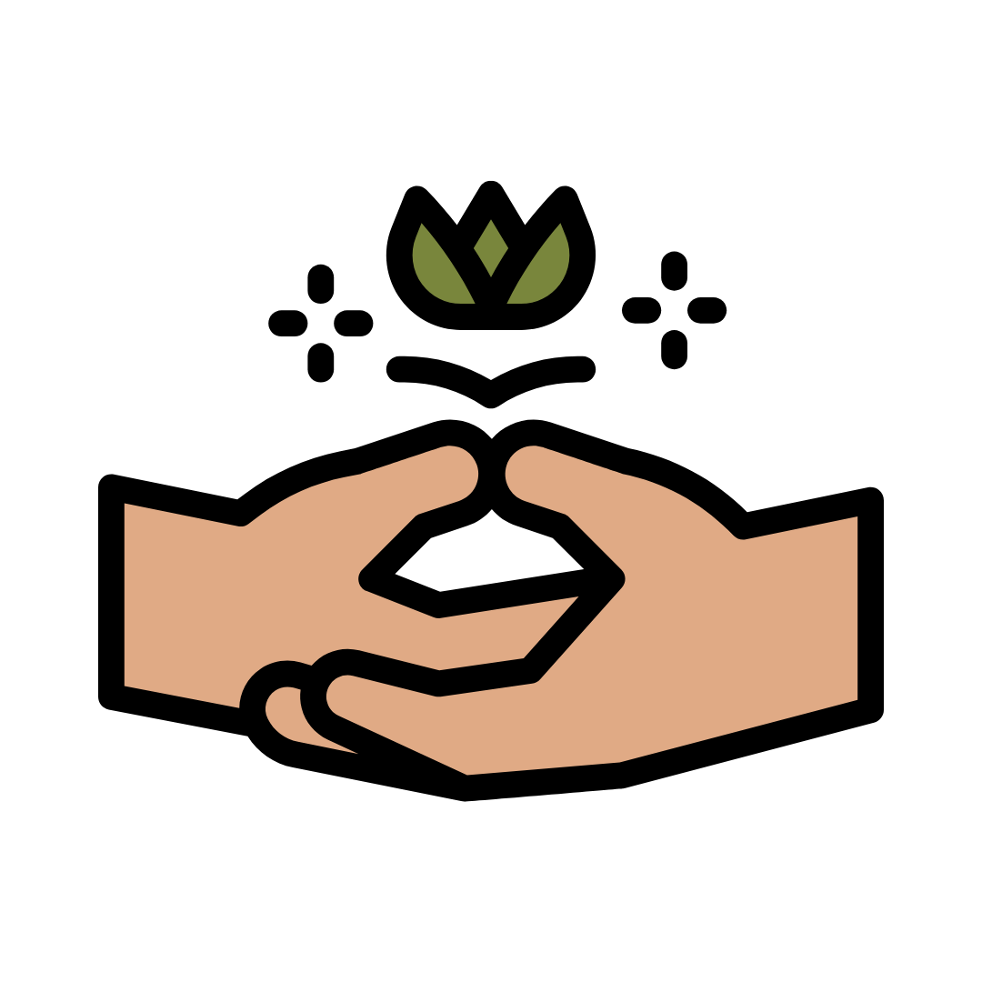 Hands holding a plant